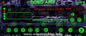 BORGAMPV1 5