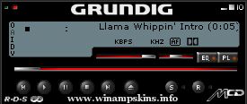 GrundigAmp