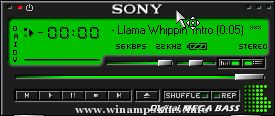 Hardy Boys   The Winamp Skin Mystery