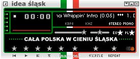 Idea Slask Wroclaw Amp