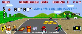 LuigiHann Super Mario Kart