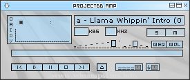 P66Amp