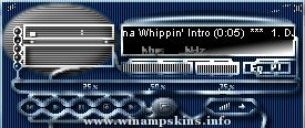 Power Winamp DVD V21