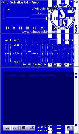 Schalke04Amp