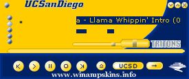 UCSD Amp