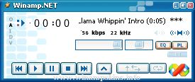 Winamp dot NET