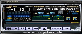 Viper Amp WSZ