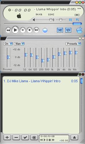 songtext skin1